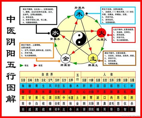 金和土|一分钟记住，五行相生相克。